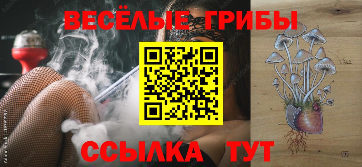 Киржач  Галлюциногенные грибы Psilocybine cubensis  Вход с VPN 