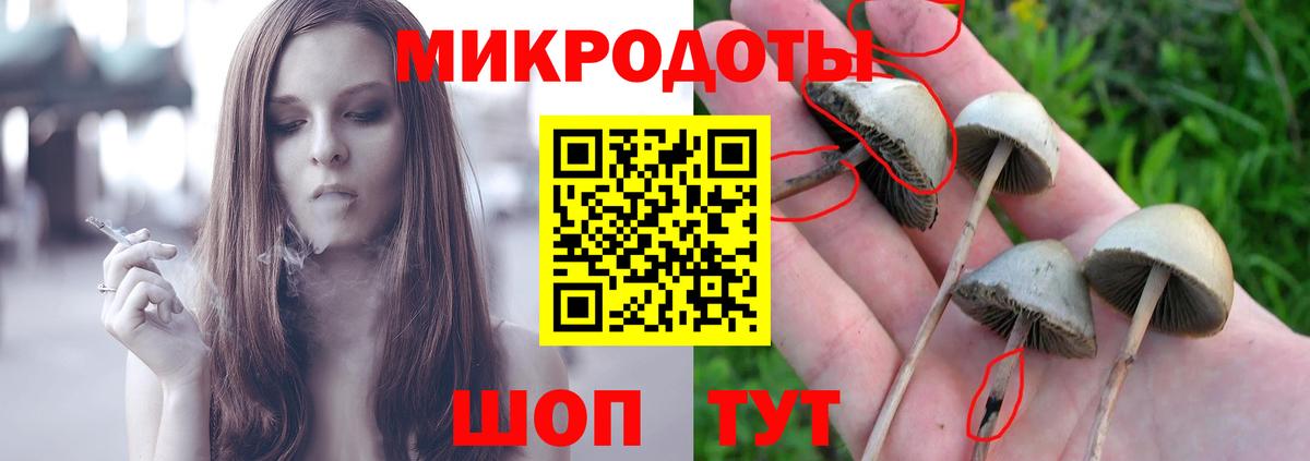 Псилоцибиновые грибы мицелий Киржач
